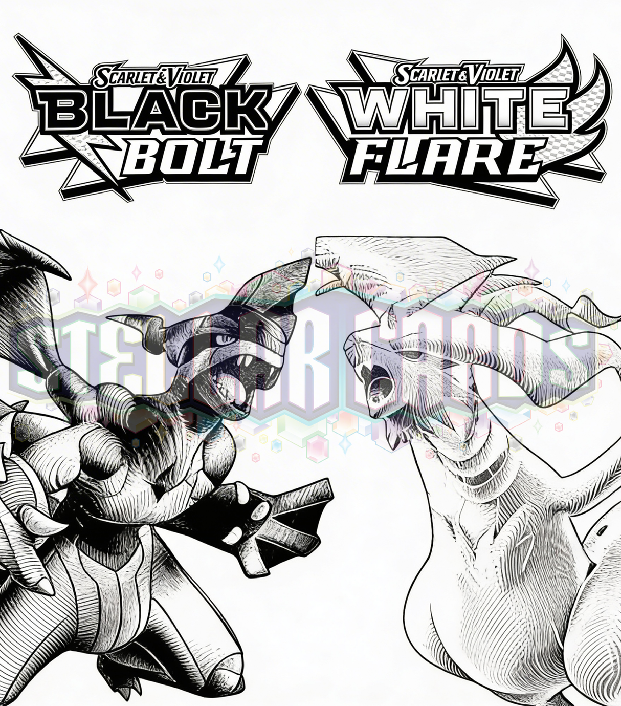 Black and White Custom Binder (pick your colour)