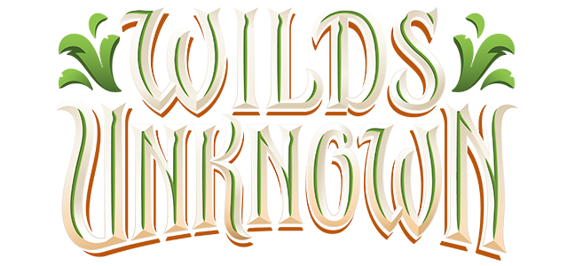 Lorcana - Wilds Unknown